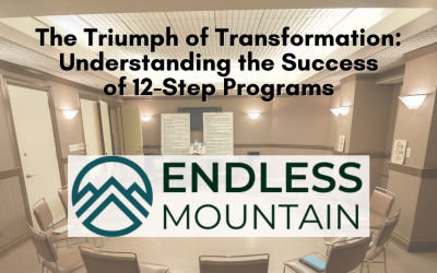 The Triumph of Transformation: Understanding the Success of 12-Step Programs